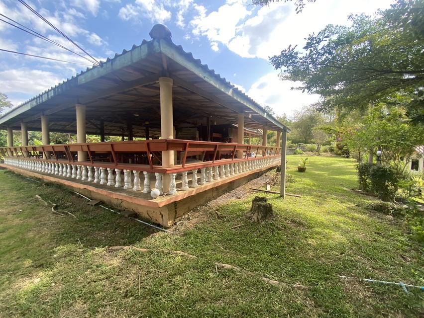 ไร่ชมจันทร์ วังน้ำเขียว 14ไร่ 6