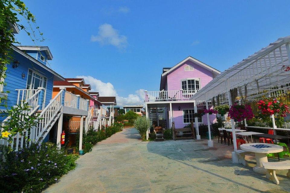 ขายรีสอร์ท Bunny Hill Resort บันนี่ ฮิลล์ รีสอร์ท ซอยสัตหีบสุขุมวิท 89 เหมาะต่อธุรกิจเพื่อเกร็งกำไร ใกล้แหล่งท่องเที่ยว ชลบุรี  1