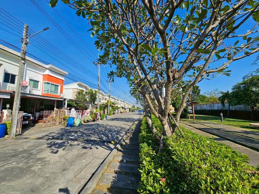 ขายด่วน ทาวน์โฮม โนโววิลล์ ลำลูกกา คลอง 2 13