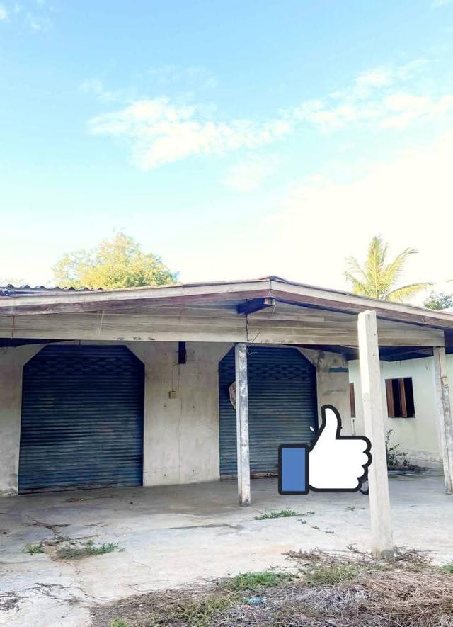 ขายบ้านพร้อมที่ดิน 1