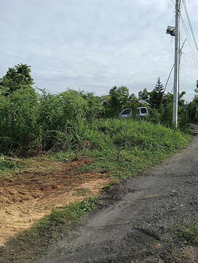ที่ดินเปล่า อ.บ้านนา นครนายก  2