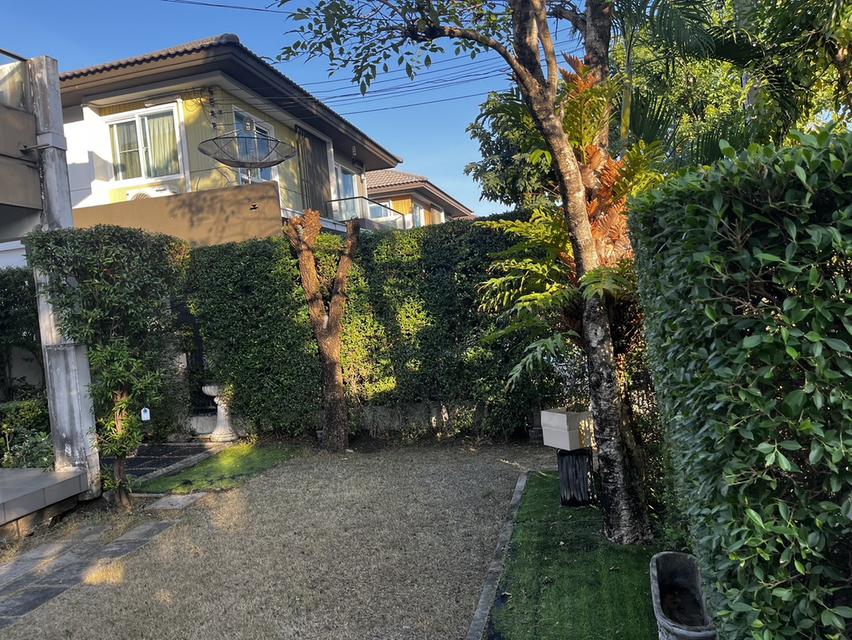 ให้เช่าบ้านเดี่ยว 55 ตรว. 2 ชั้น 3 ห้องนอน 3 ห้องน้ำ พร้อมเฟอร์และแอร์ทุกห้อง หิ้วกระเป๋าเข้าอยู่ได้เลย 5