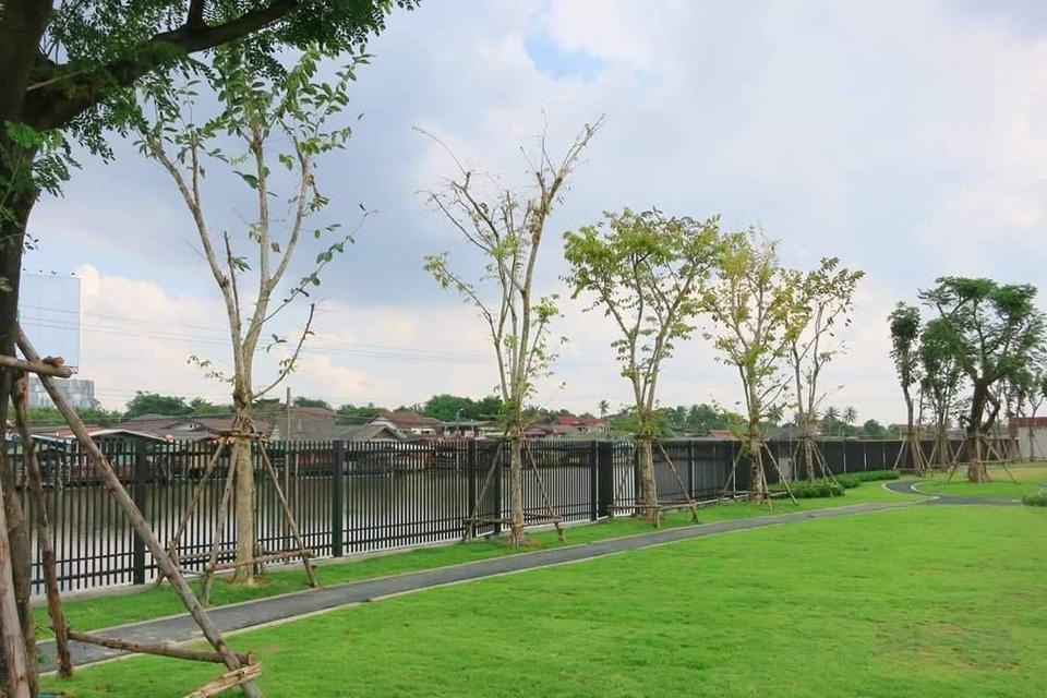 🌟 ขายทาวน์โฮม 2 ชั้น หมู่บ้านคาซ่า วอเตอร์ไซด์ พระราม 5 (Q House) 🌟  📌 บนที่ดิน 18 ตร.ว. ราคาเพียง 3,850,000 บาท  15