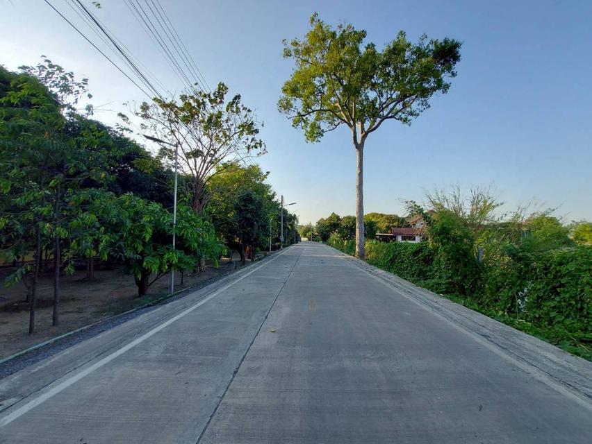 ขายที่ดินเปล่า ถนนบางกะดีสายใน ซอย13 2