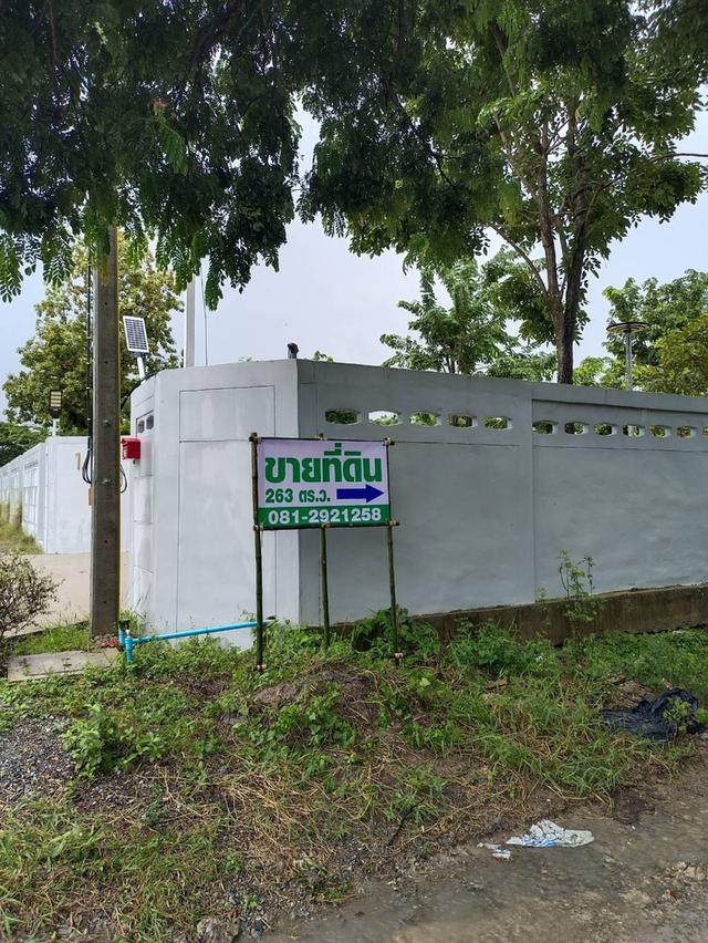 ที่ดินอ.พุทธมณฑล จ.นครปฐม ใกล้มหิดล ศาลายา 2