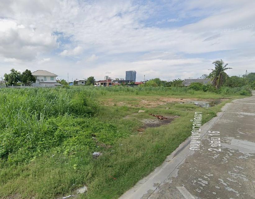 ขายที่ดินเหมือง 1 ไร่ เทศบาลพัฒนา2ซอย16 ใกล้ถนนเลี่ยงเมืองหนองมน-300เมตร เมืองชลบุรี