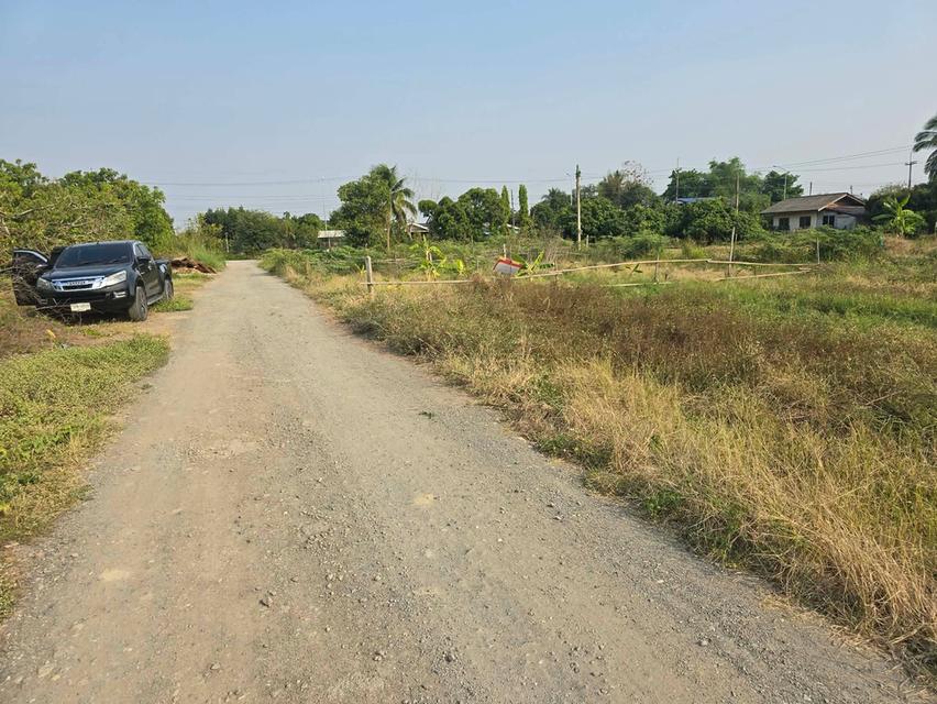 ขายที่ดินต.สันทรายอ.สารภีจ.เชียงใหม่ 100ตรว. 6