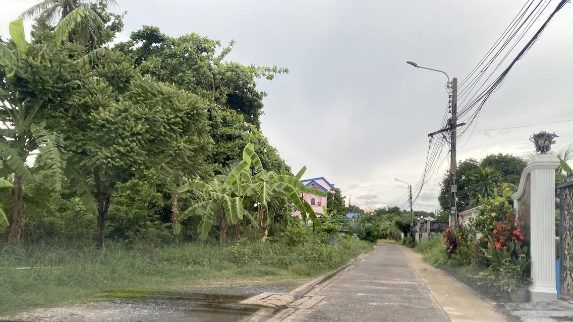 ขายวาละ 45,000 ที่ดิน 188 ตารางวา ซอยเพชรเกษม 68 แยก 28 ใกล้รถไฟฟ้าเดอะมอลล์บางแค 098 7755 808 5