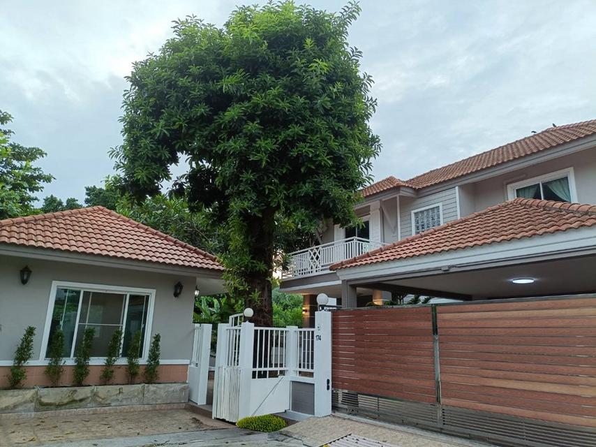 ขายด่วน บ้านใหญ่ แถมบ้านหลังเล็ก ใจกลางลาดพร้าว 64 บรรยากาศเหมือนรีสอร์ท รถไฟฟ้าสีเหลือง หน้าปากซอย 1
