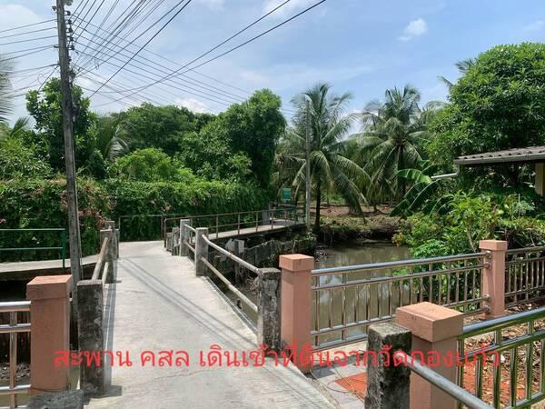 ขายที่ดิน ตารางวาละ 7,000 บาท บางกระเจ้า (ปอดของกรุงเทพมหานคร) พระประแดง สมุทรปราการ 9