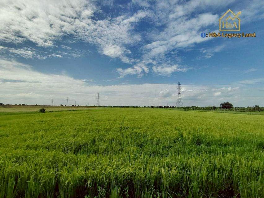  ขายที่ดินเปล่าแปลงสวย ติดถนนใหญ่ อย.3006 ลาดบัวหลวง–ไม้ตรา อ.ลาดบัวหลวง จ.พระนครศรีอยุธยา 30-3-74 ไร่ 7