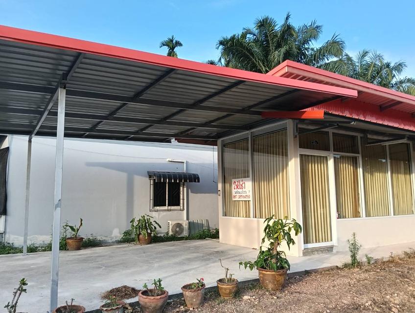 บ้านเช่า หน้ากว้าง 1 ห้องนอน 1 ห้องน้ำ 1 ที่จอดรถ 1