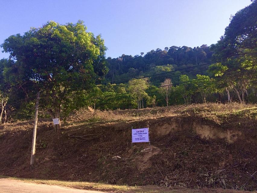 ขายที่ดินวิวทะเล 2