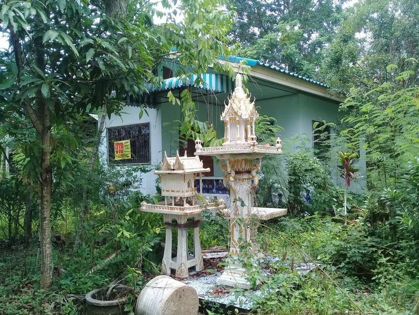 บ้านและที่ดิน ตำบลปากพนังฝั่งตะวันตก 2