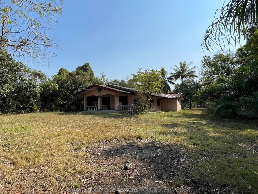 🔥 ขายด่วน! บ้านพร้อมที่ดิน พื้นที่ขนาดใหญ่ ใกล้เมือง จ.อุดรธานี (รหัส H1SS-491) 7