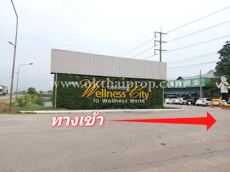 ที่ดิน ถนน3111 ต.ห่อหมก อ.บางไทร จ.อยุธยา 12