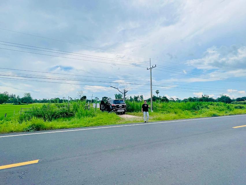 ขายที่ดินติดถนน 1 ไร่ 3 งาน 65 ตารางวา จังหวัดศรีสะเกษ 1