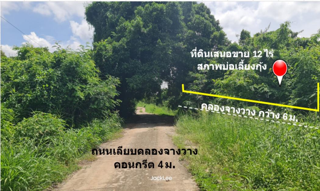 ขาย ที่ดิน ติดถนนเลียบคลองจางวาง ใกล้แม่น้ำบางปะกง อ.บ้านโพธิ์ แปลงสวย 12 ไร่ ติดโครงการบางปะกงริเวอร์ไซด์ พร้อมโอน ฟร