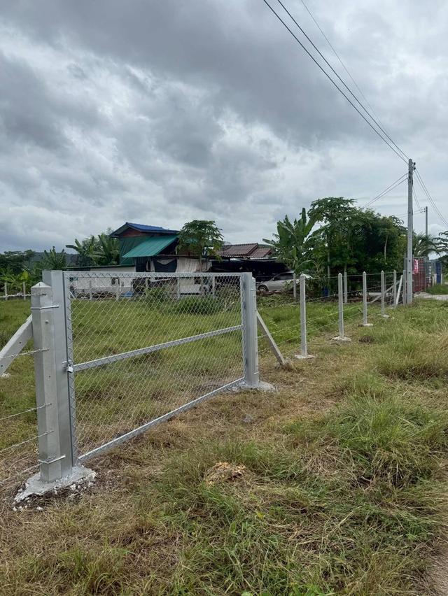 ที่ดินจำนวน 1 ไร่ อู่ทอง สุพรรณบุรี 4