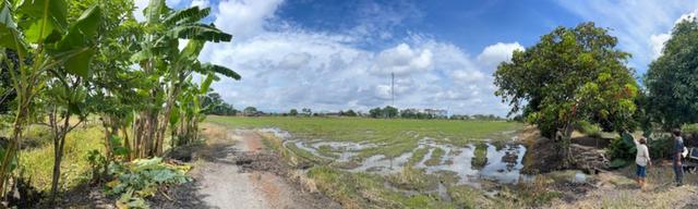 ขายที่ดินติดถนนใหญ่ บางน้ำเปรี้ยว จ.ฉะเชิงเทรา ทำเลทอง ใกล้สนามบินสุวรรณภูมิ 5