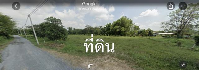 ขายที่ดินโฉนดติดถนนลาดยางเส้นสุวรรณศร-บ้านพริก 2