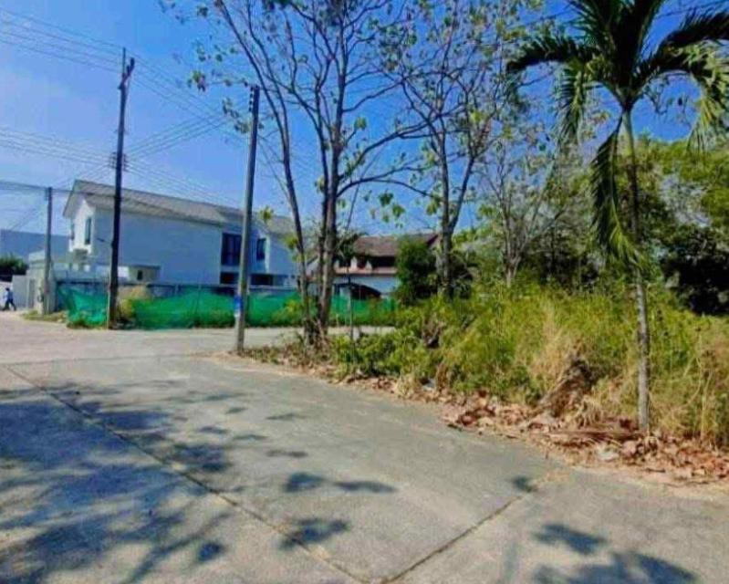 ขายที่ดินห้วยใหญ่ 100 ตรว. ซอยชากนอก19 แปลงหัวมุมติดถนน2ด้านใกล้หาดจอมเทียน-7กม. อ.บางละมุง ชลบุรี 1