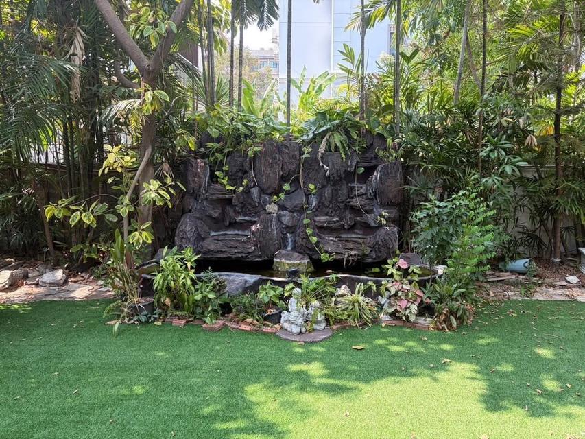 U1477 ให้เช่าบ้านสวน ใจกลางสุขุมวิท 101 FOR RENT RARE GARDEN SPACE IN SUKHUMVIT An Extraordinary Glasshouse Garden Space in Sukhumvit 101 10