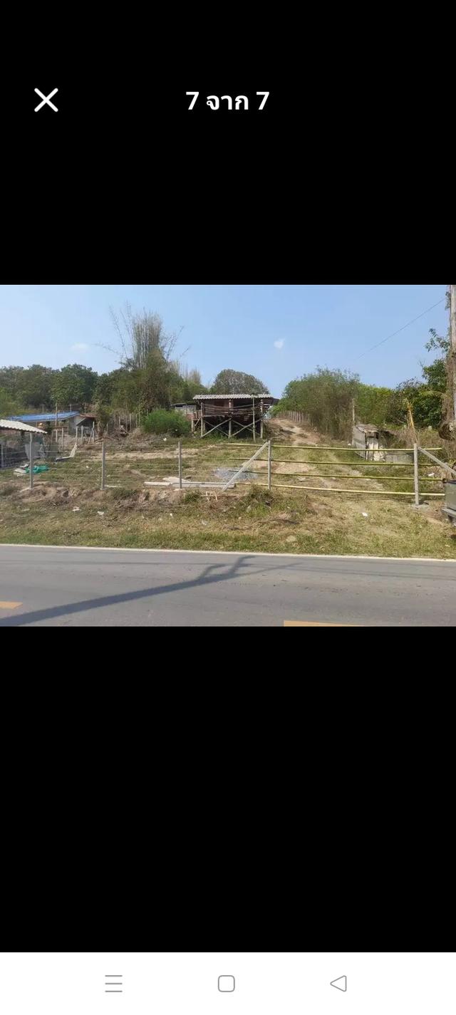ที่ดิน717.20ตรว.อ.แม่ริม เชียงใหม่ 4