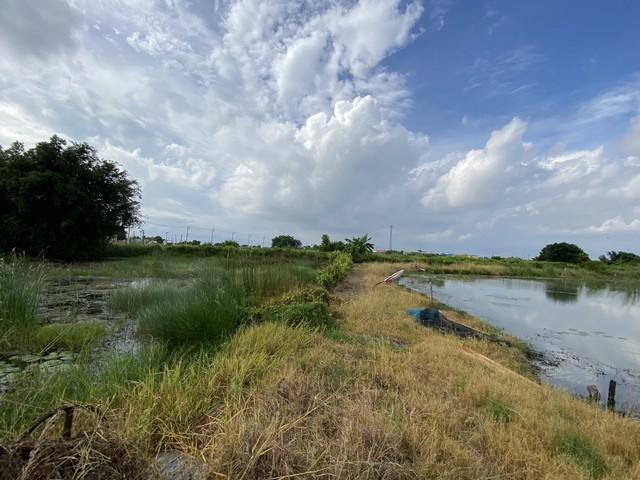 ขายที่ดินเปล่า ทำเลดี เจ้าของขายเอง ตำบลคลองด่าน อำเภอบางบ่อ สมุทรปราการ 6