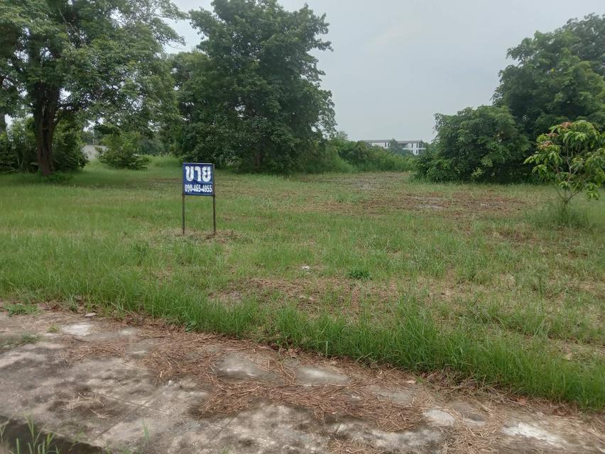 ขายที่ดินเปล่า 235 ตรว.ติดทะเลสาบ อยู่ในโครงการหมู่บ้านเดอะลากูน 1 ปทุมธานี 2