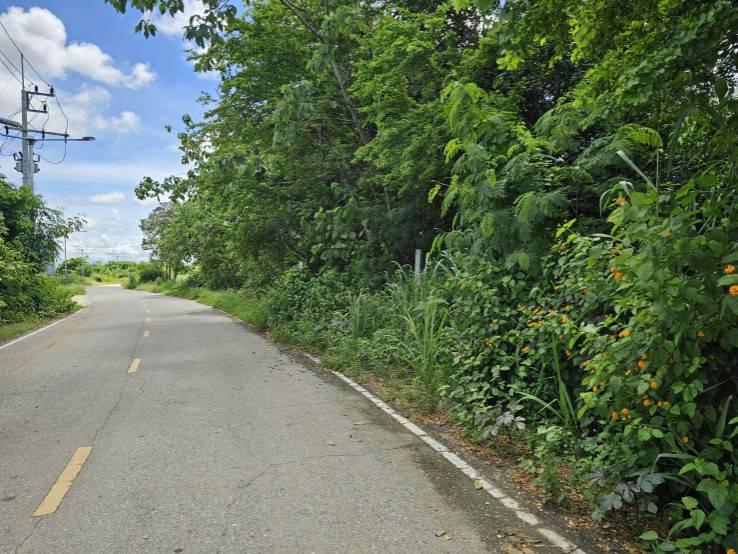 ขายที่ดินติดถนน 2 ด้าน หลังวัดวังขนาย ท่าม่วง  จ.กาญจนบุรี 8