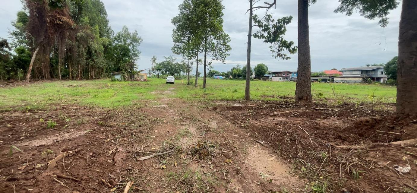 ขายที่ดินนครสวรรค์ เนื้อที่ 6 ไร่แบ่งขาย 1