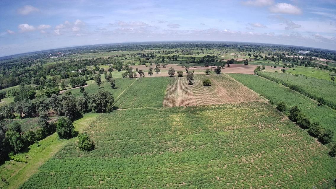 ขายที่ดินติดถนนสุรนารายณ์ (205)เนื้อที่ 22ไร่ 1งาน ด่านจาก โนนไทย โคราช ที่ดินห่างจากตัวเมืองโคราช 11 กม. หน้ากว้าง 82เมตร ลึก 430เมตร 4