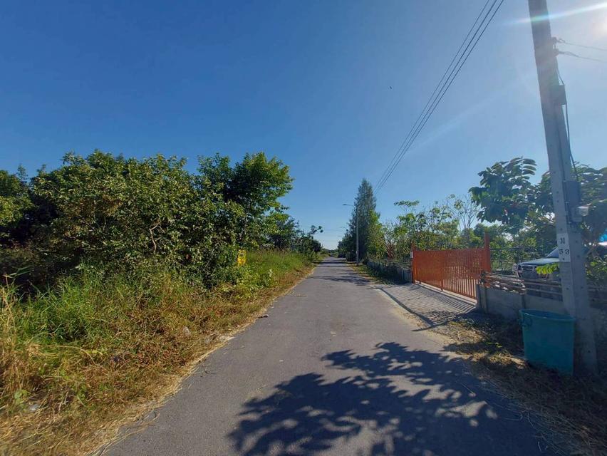 ขายที่ดินเปล่า ซอยเลียบวารี31 โคกแฝด เขตหนองจอก 4