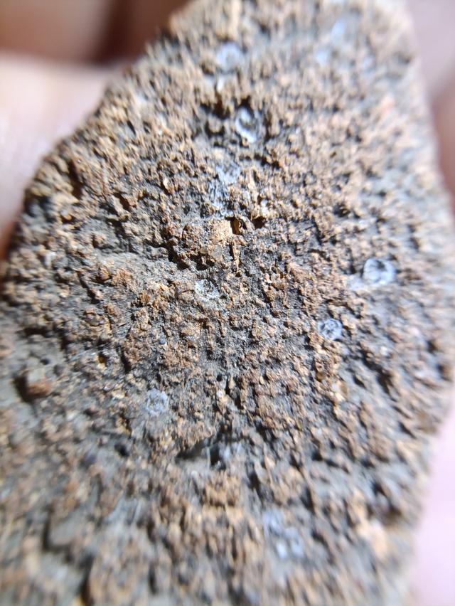 พระกรุบ้านกร่าง แท้แท้ 8