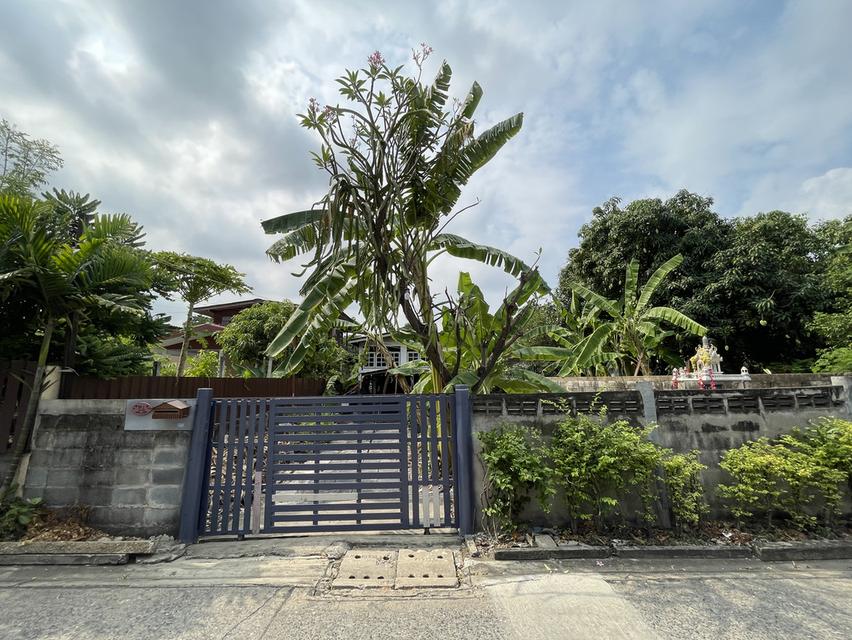 ขายบ้านครึ่งปูนครึ่งไม้พร้อมที่ดิน 100 ตรว. 9