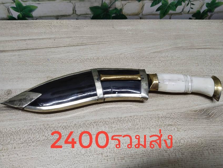มีดขุกุรีมีดทิเบตสวยงามมากคมและแข็งแรงเล่มละ1800-2000 รวมส่ง  สนใจรบกวนโทรสอบถามได้ครับเนื่องจากนานๆเข้ามาดูครั้ง 4