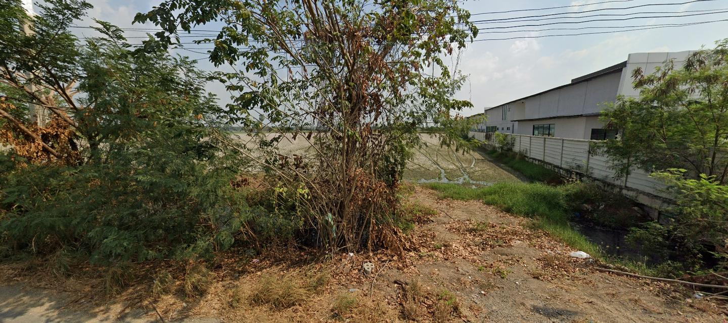 ขาย ที่ดิน45ไร่ พื้นที่สีเขียวลาย หน้ากว้าง 200ม.  ถนนทางหลวงชนบท นฐ.3004 บางเลน-ศาลายา ตำบลลำพญา อำเภอบางเลน นครปฐม 4