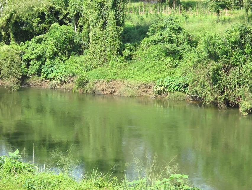 ที่ิดินพร้อมสวนทุเรียน จ.กาญจนบุรี อ.ทองผาภูมิ 11