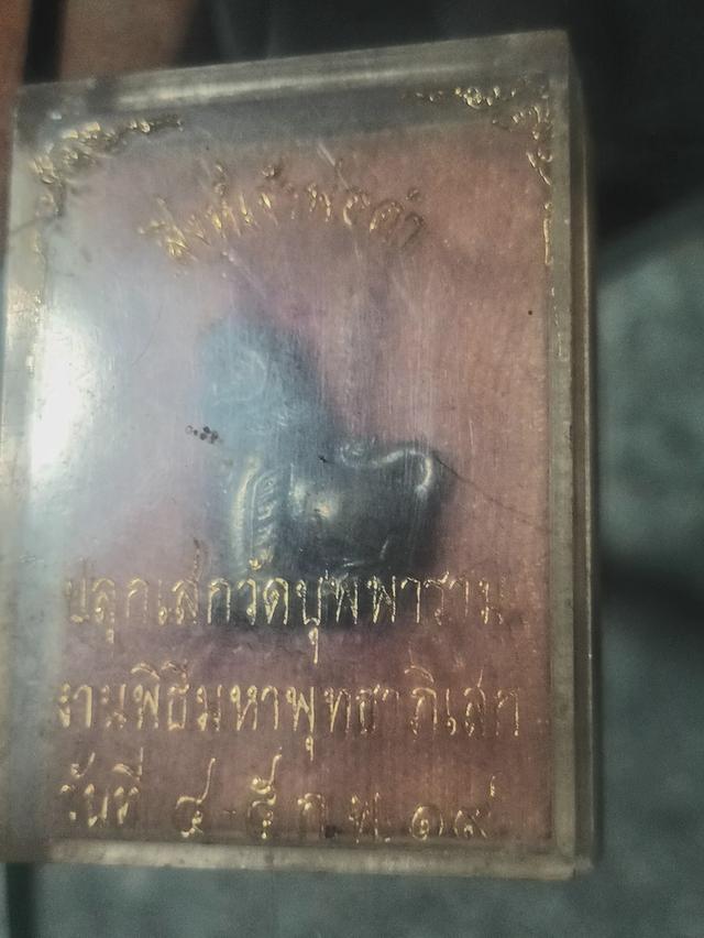 สิงห์เจ้าพ่อดำ วัดบุพพาราม   ปี๑๙