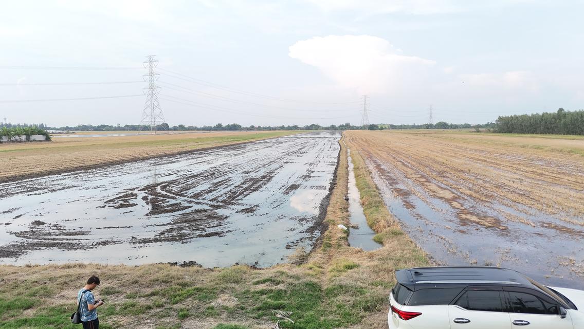 ขาย ที่ดิน ลาดหลุมแก้ว ซ.วัดเจดีย์หอย 6