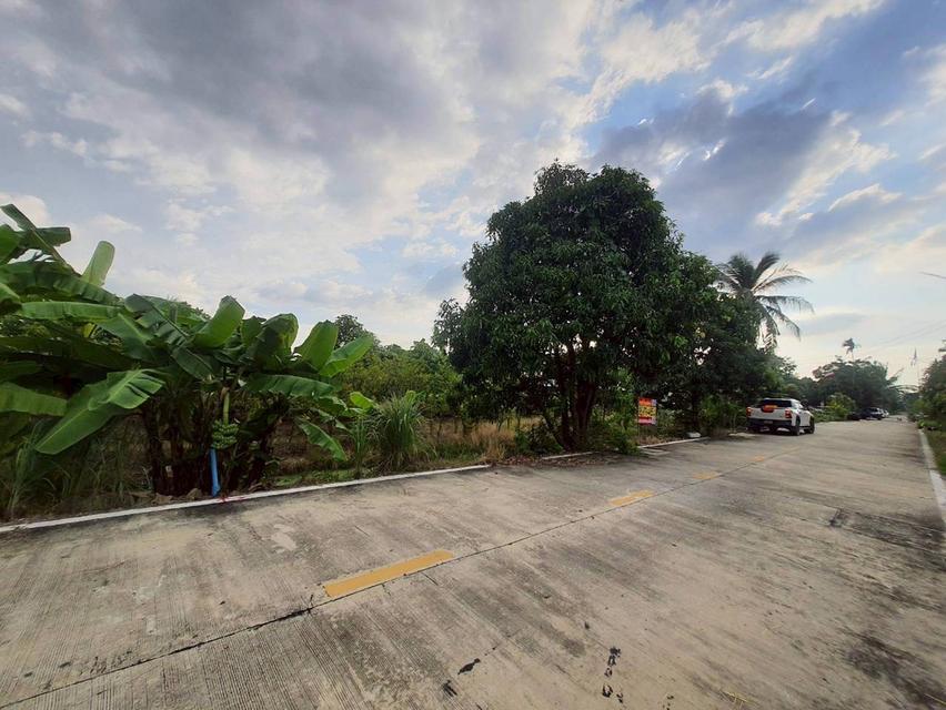 🔊ขายด่วน‼️ที่ดินคลองห้า 200 ตารางวา💢ติดถนนคอนกรีตสาธารณะ📮ซอย คลองห้า ตต.57 อ.คลองหลวง จ.ปทุมธานี📲095-878-4465   7