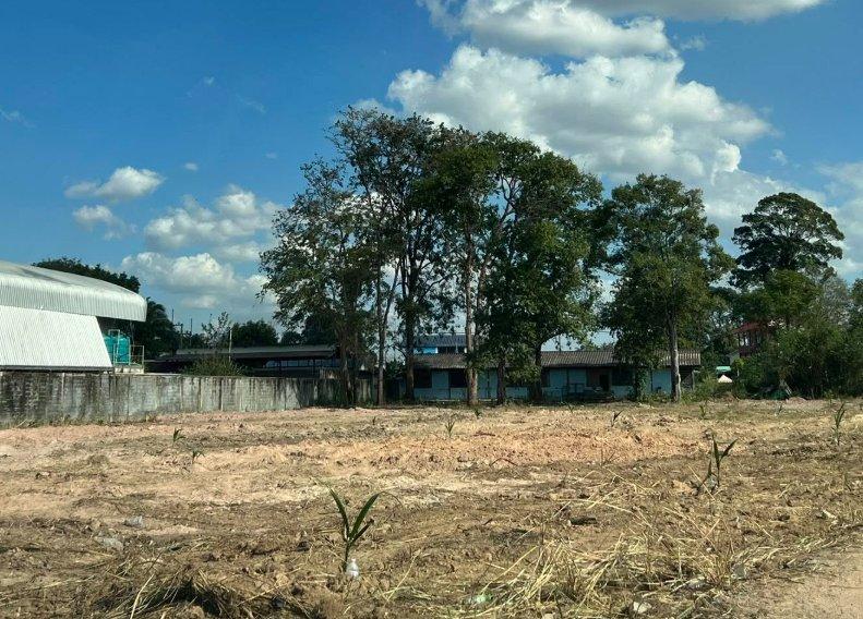 ขายที่ดินบึง หนองแขวะ 2 ไร่ ถมแล้วติดวิทยาลังเทคโนโลยีทางทะเล ใกล้ท่าเรือแหลมฉบัง-10กม. อ.ศรีราชา ชลบุรี 3