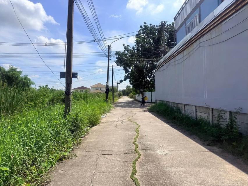 ขายด่วนที่ดินสายสอง 90 ตรว ติดถนนคอนกรีต ถมแล้ว พุทธมณฑลสาย 2 ซอย 21 เขตตลิ่งชัน กทม. 6