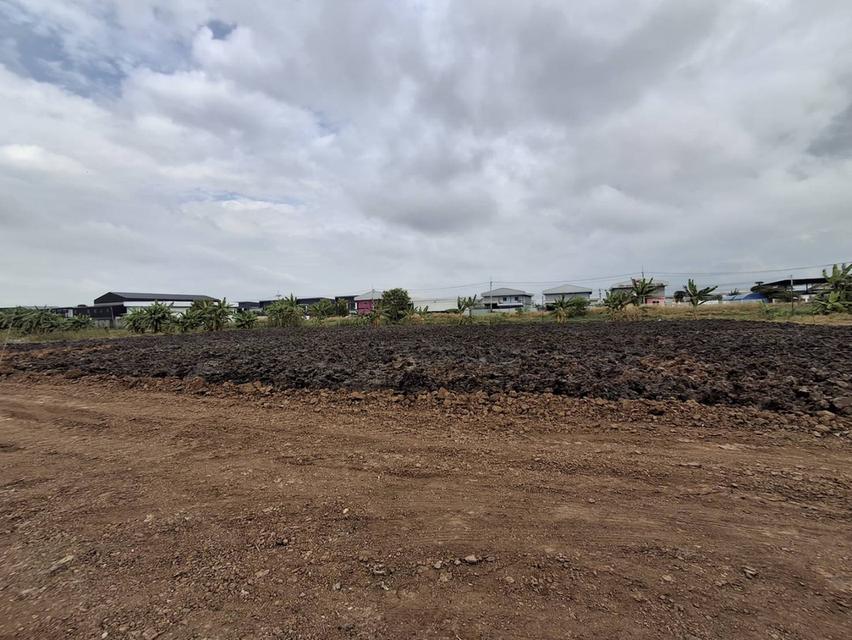 ที่ดิน+โกดัง เริ่มต้น 3.1 ลบ. 1