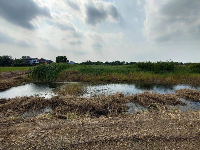 ขายที่ดิน เสนา อยุธยา 7 ไร่ 3 งาน 11.2 ตร.วา 6