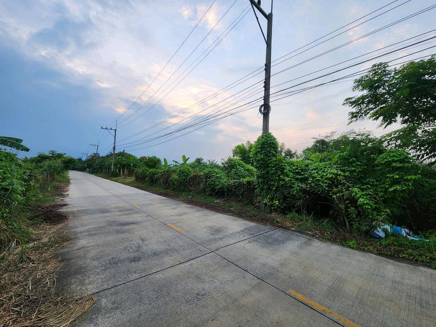 ขายที่ดิน รังสิต นครนายก คลอง7 แปลงสวย ขนาด1 ไร่เต็ม หนองเสือ- ซ.บึงบอน 10 ทำเลดีในราคาจับต้องได้ ✨ เพียง 1.5ล้านบาท 12
