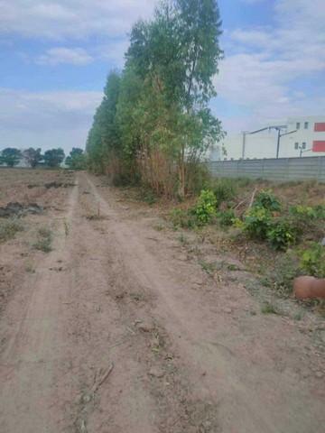 ขายที่ดินผังสีม่วง 16-2-87.3 ไร่ ติดนิคมโรจนะ ปราจีนบุรี หัวหว้า ศรีมหาโพธิ,ปราจีนบุรี 2