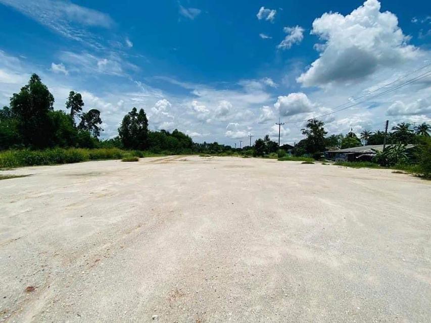ขายที่ดินหนองอิรุณถมแล้ว 2 ไร่ ติดถนนลาดยางซอยวัดหนองเขิน ใกล้ถ.จารุวร349-800เมตร อ.บ้านบึง ชลบุรี 4
