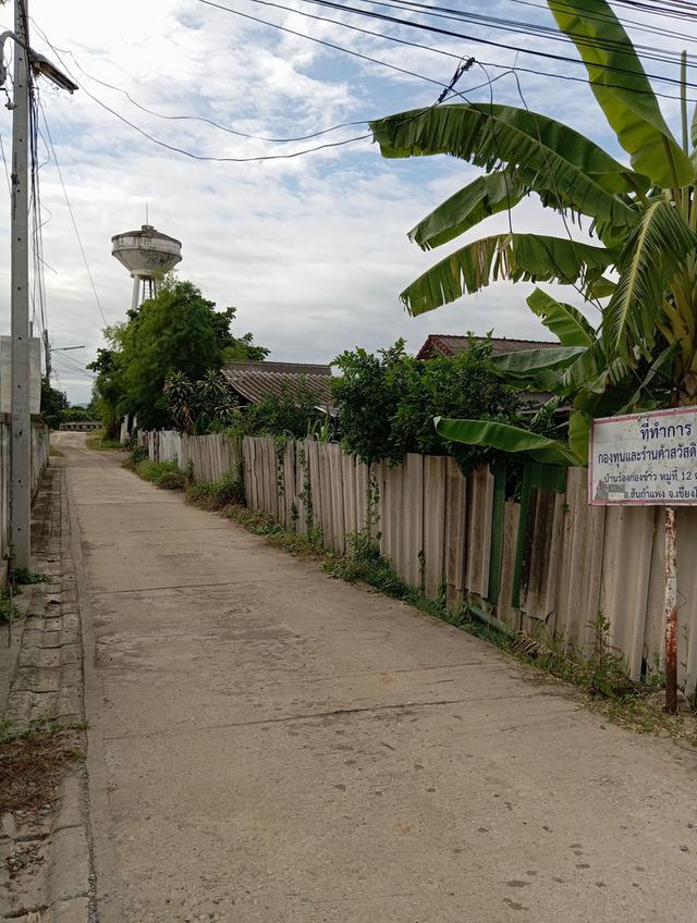 ขายที่ดิน 100 ตรว. เชียงใหม่ 2
